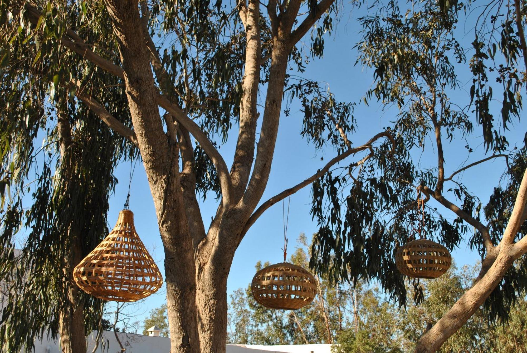 Maison Sidi Et Lalla Essaouira Buitenkant foto